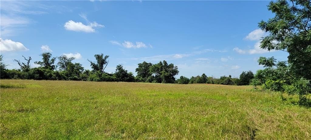 6.3 acres in Robertson County - photo 13