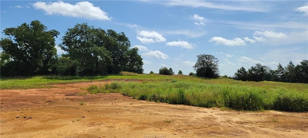 6.3 acres in Robertson County - photo 9