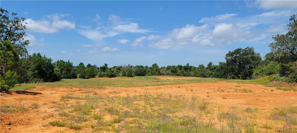 6.3 acres in Robertson County - photo 16