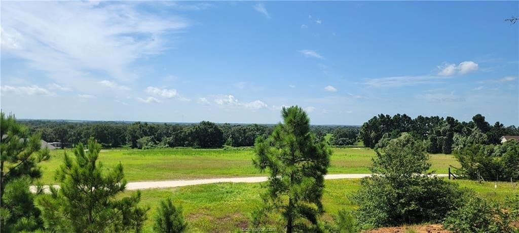 6.3 acres in Robertson County - photo 17