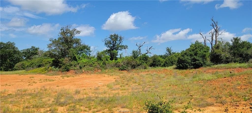 6.3 acres in Robertson County - photo 19
