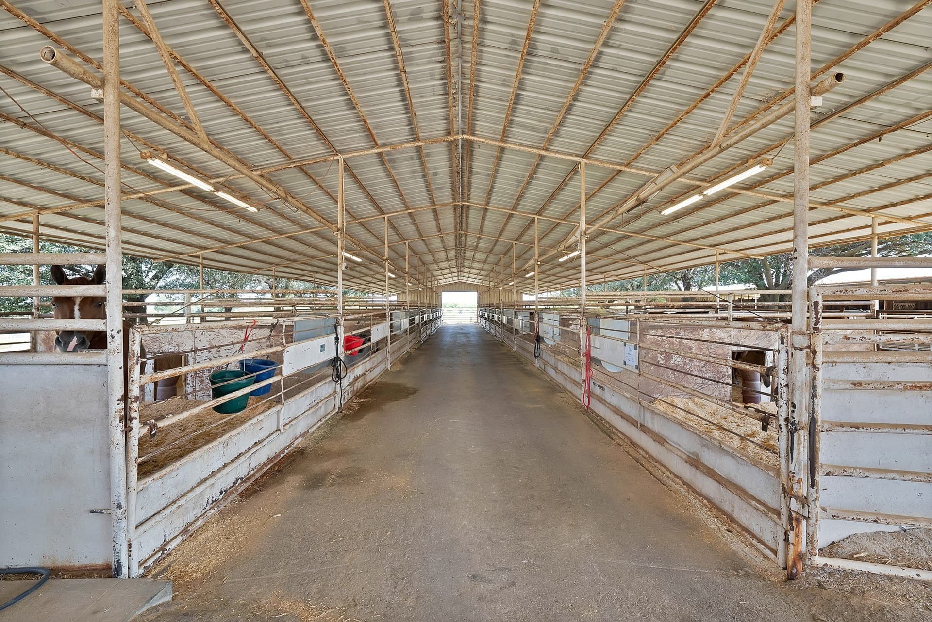 35 acres in Grayson County - photo 28