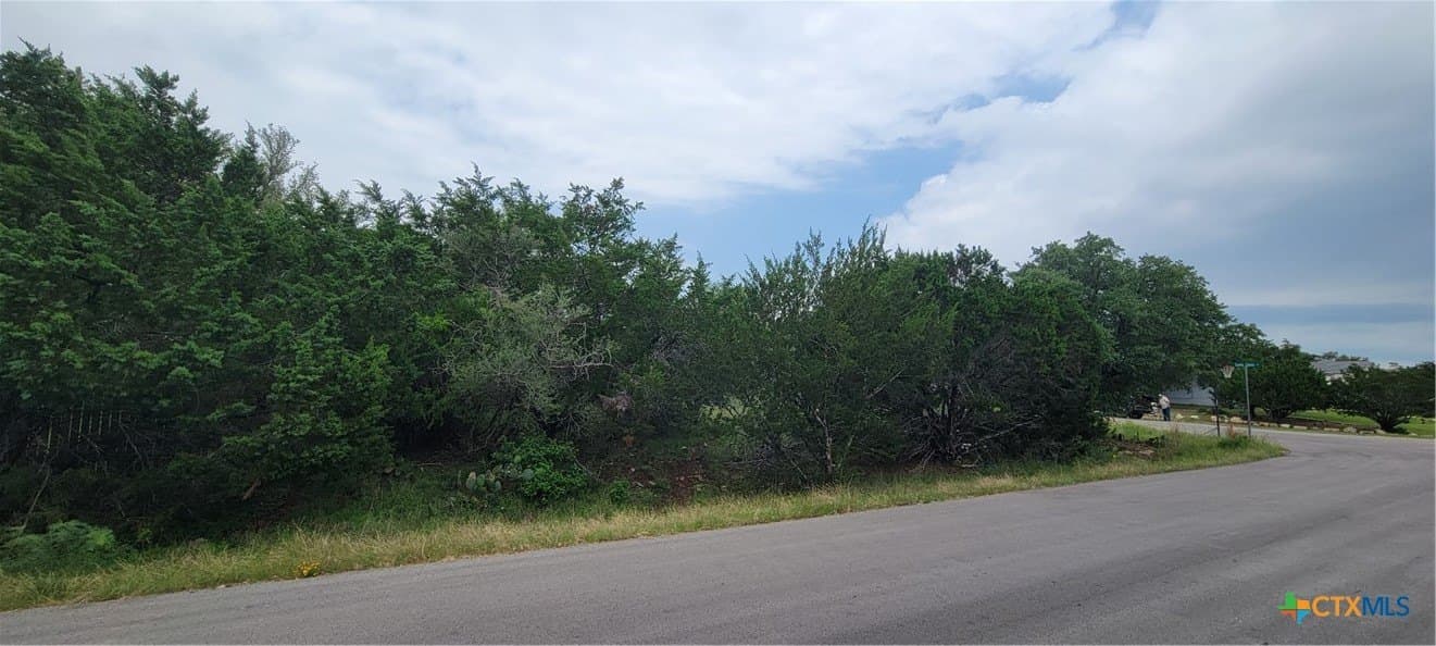 0.25 acres in Travis County gallery image 4
