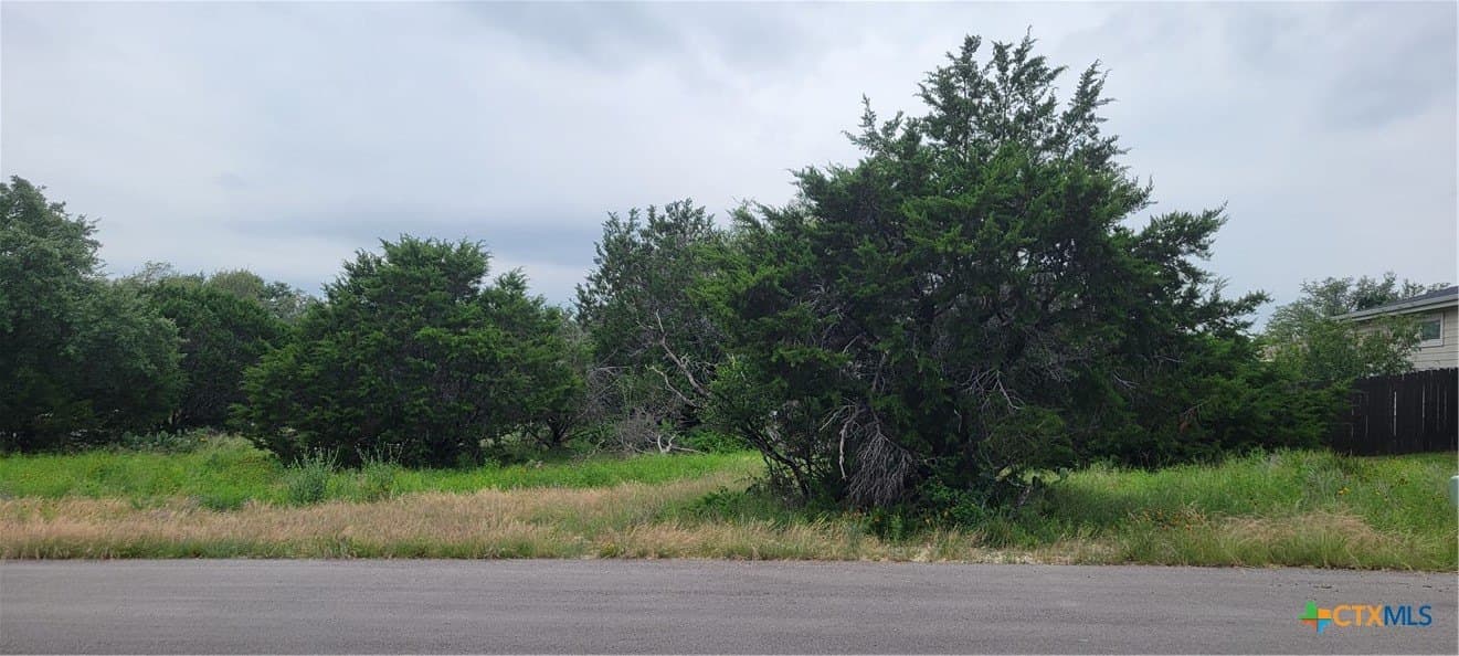 0.25 acres in Travis County gallery image 3