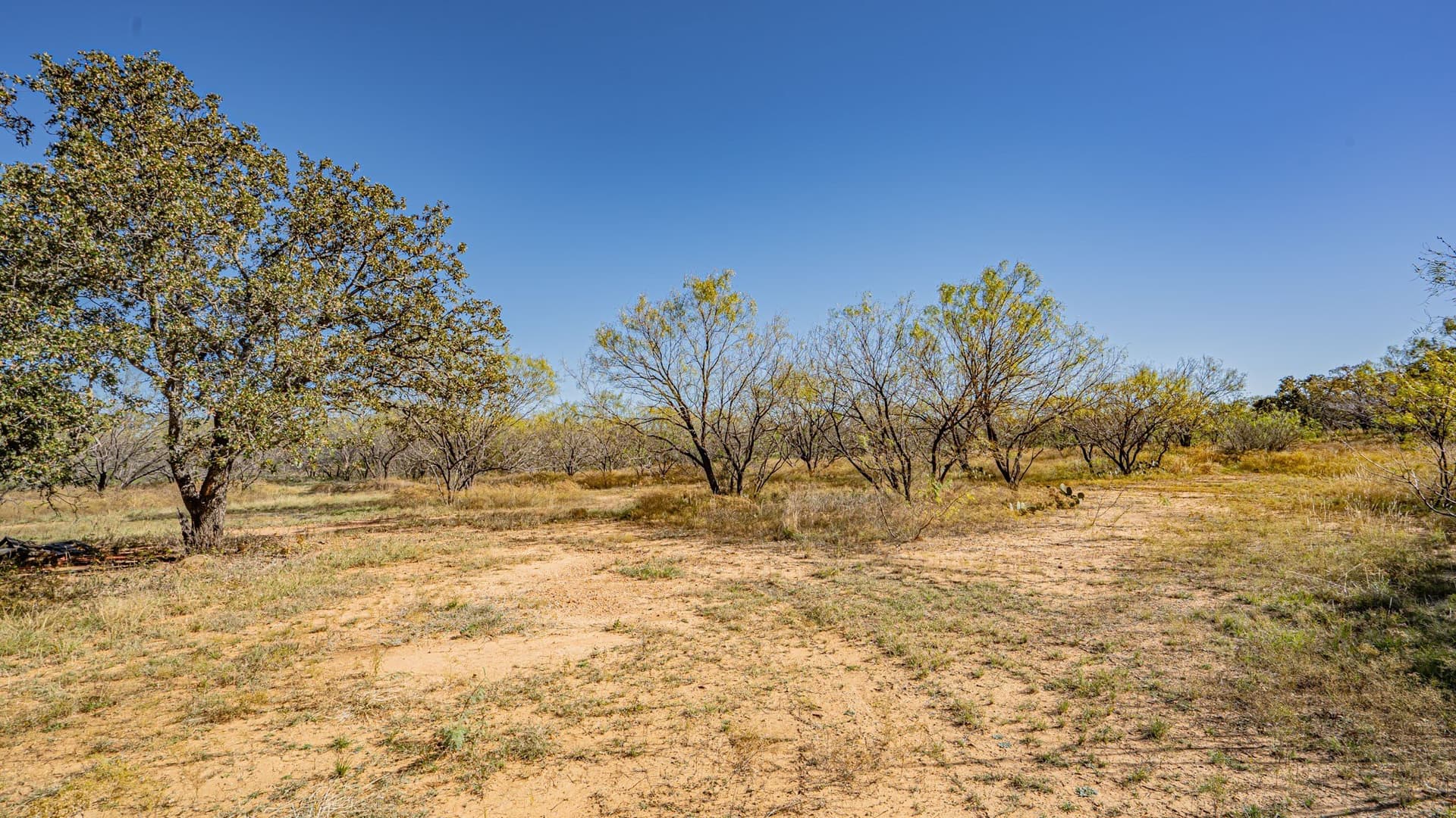 8.44 acres in Eastland County - photo 17