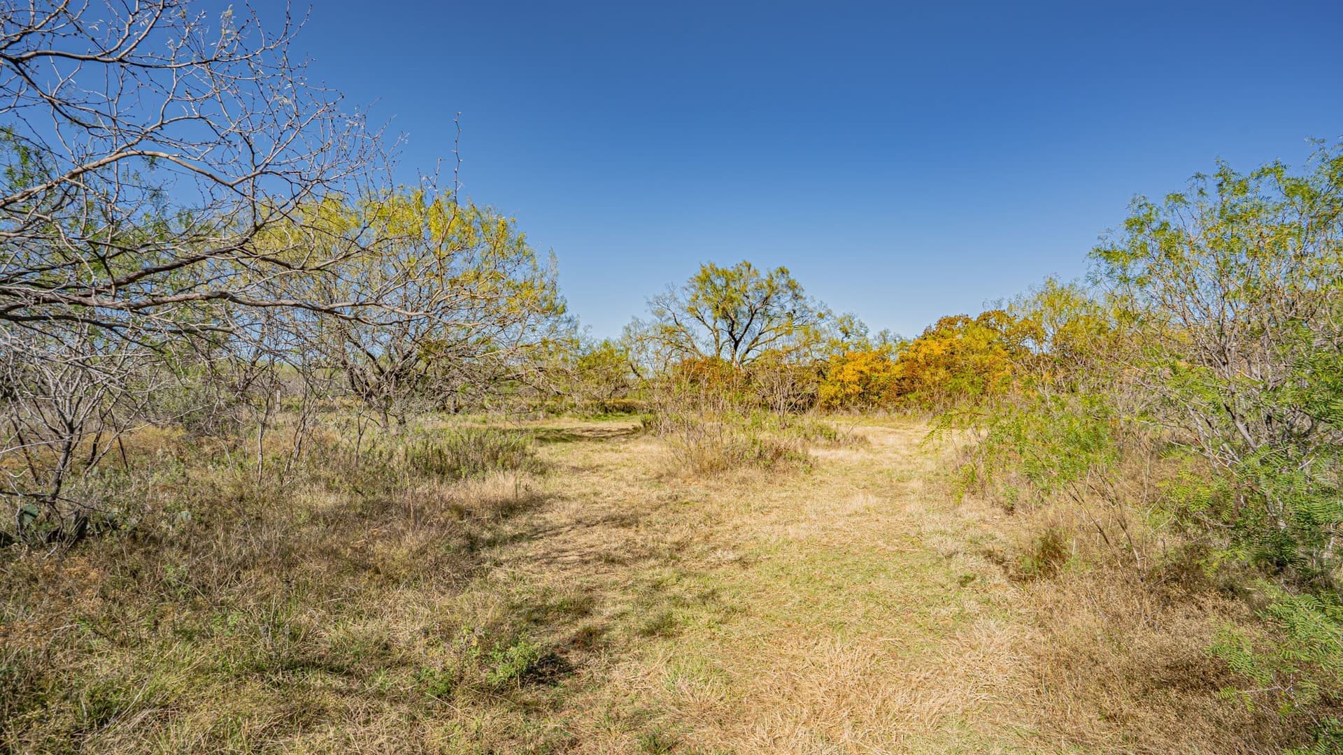 8.44 acres in Eastland County - photo 15