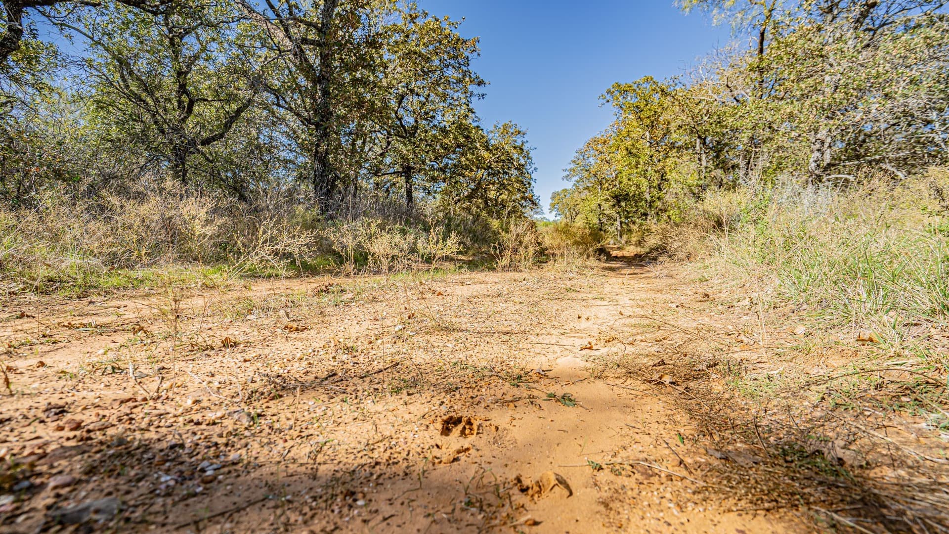 8.44 acres in Eastland County - photo 18