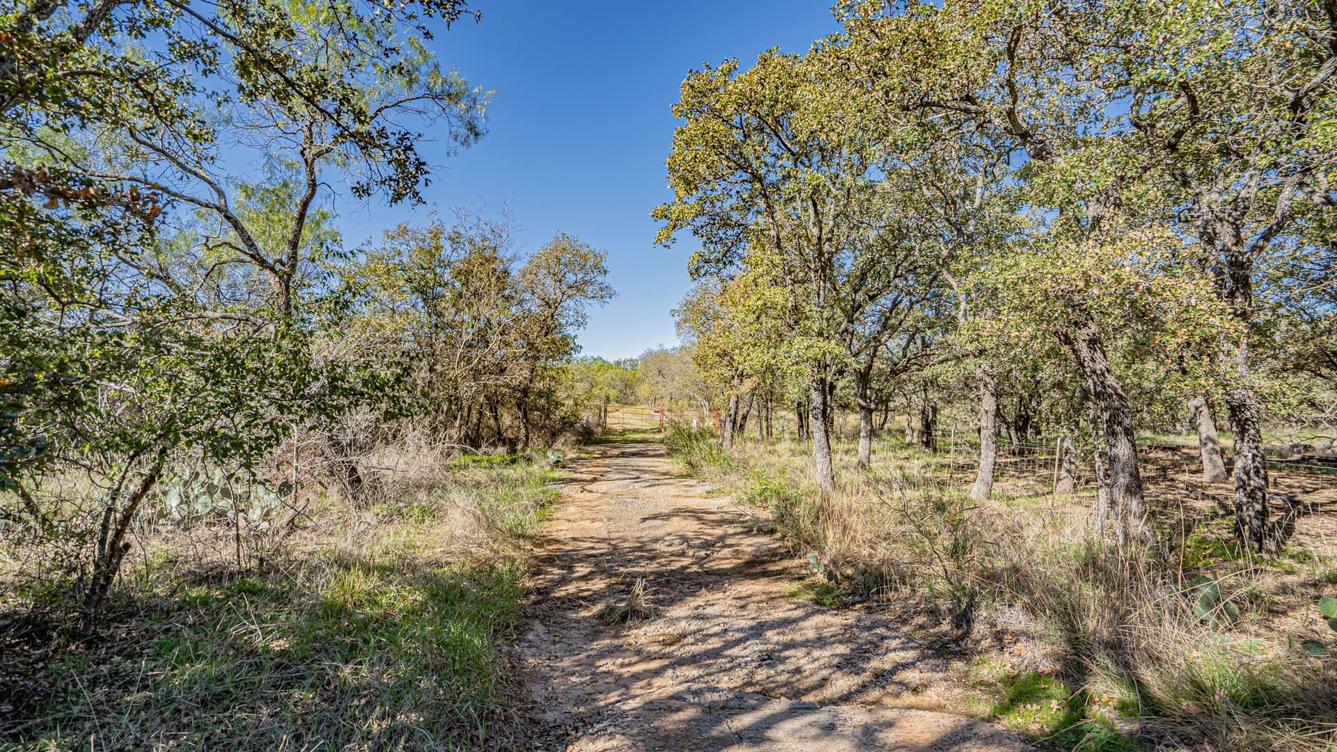 8.44 acres in Eastland County - photo 8