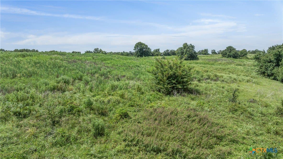 10.65 acres in Limestone County - photo 16
