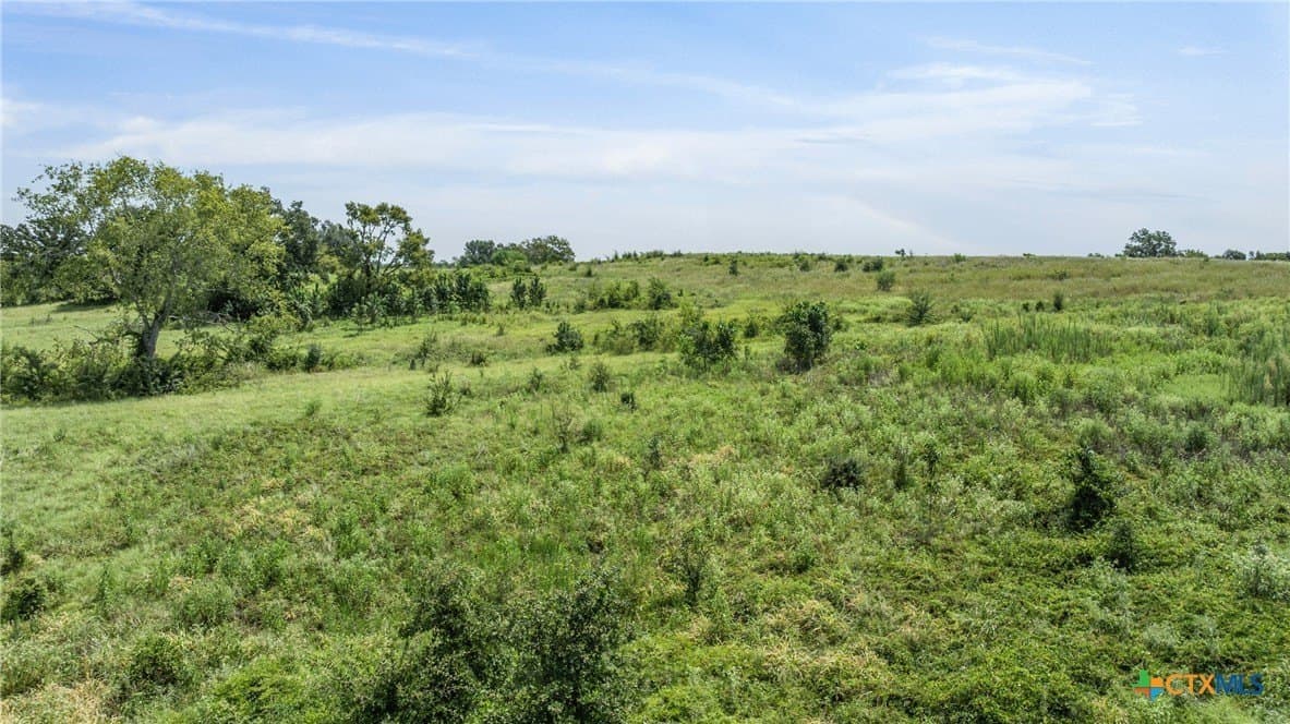 10.65 acres in Limestone County - photo 15