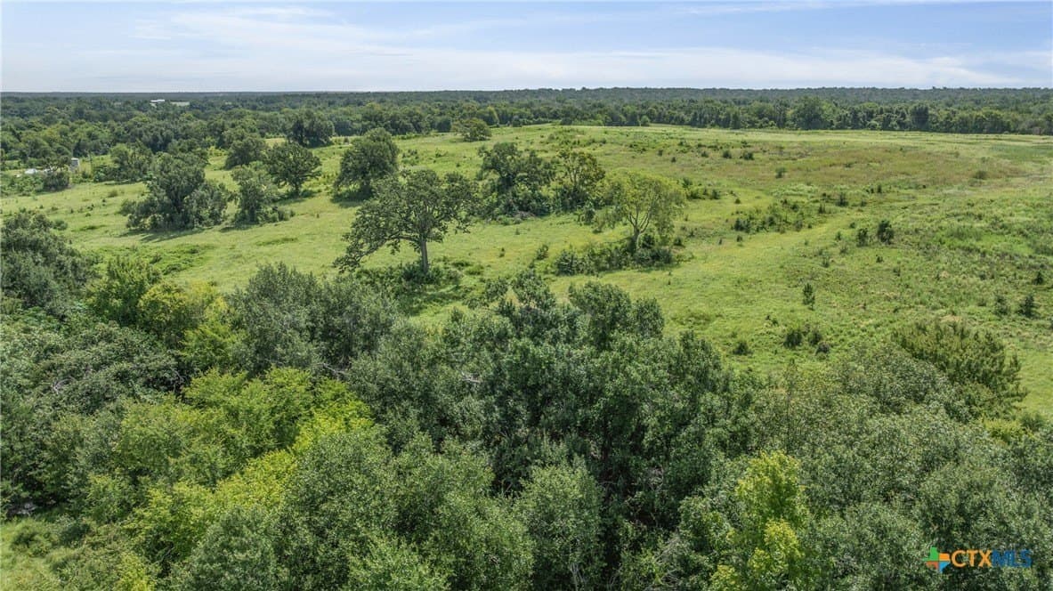 10.65 acres in Limestone County - photo 13