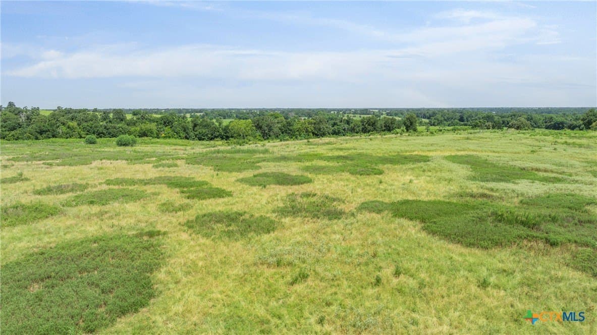 10.65 acres in Limestone County - photo 19