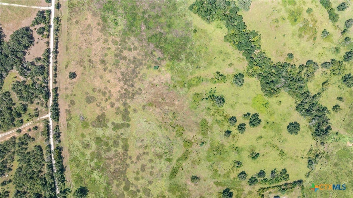 10.65 acres in Limestone County - photo 8