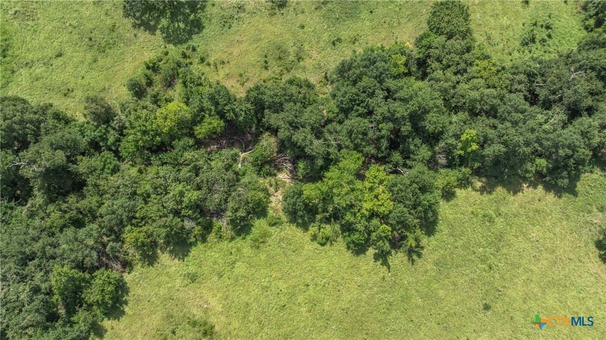 10.65 acres in Limestone County - photo 12