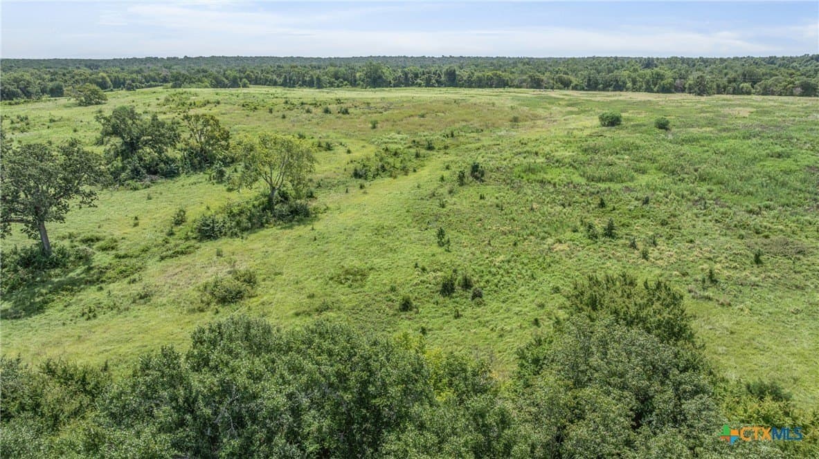 10.65 acres in Limestone County - photo 14