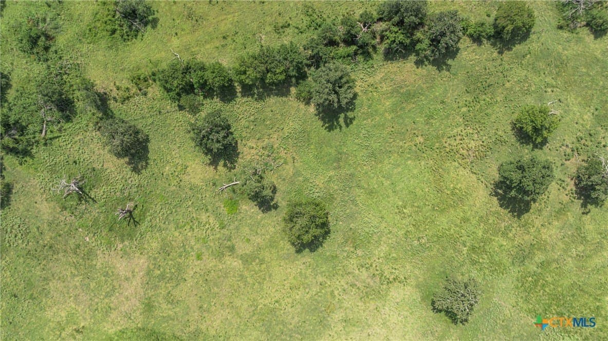 10.65 acres in Limestone County - photo 11