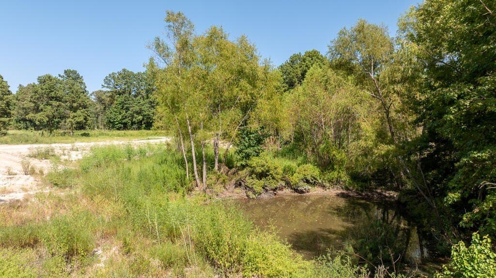 4 acres in Texas County - photo 2
