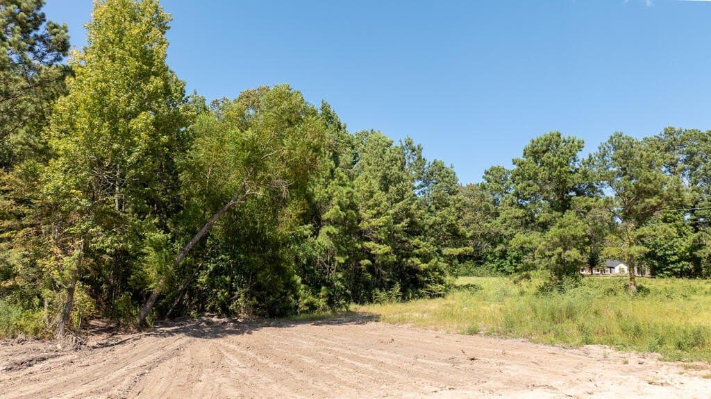 4 acres in Texas County - photo 6