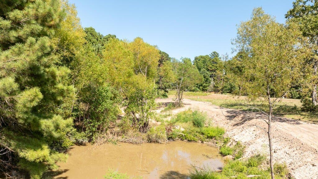 4 acres in Texas County - photo 10