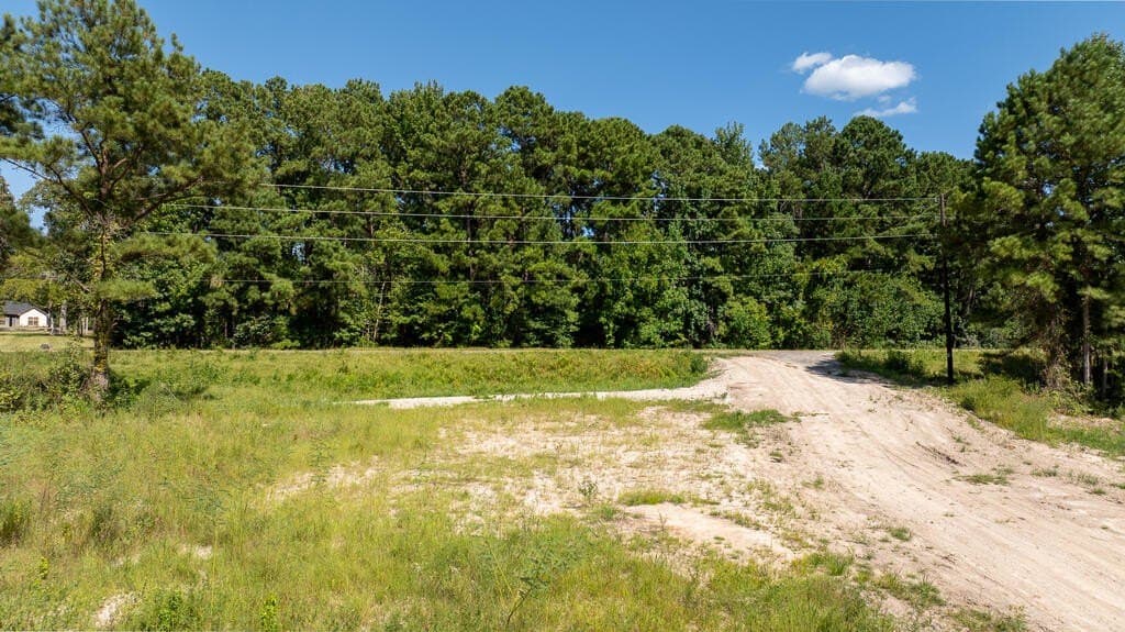 4 acres in Texas County - photo 3