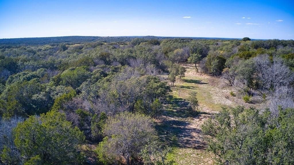 53 acres in San Saba County gallery image 4