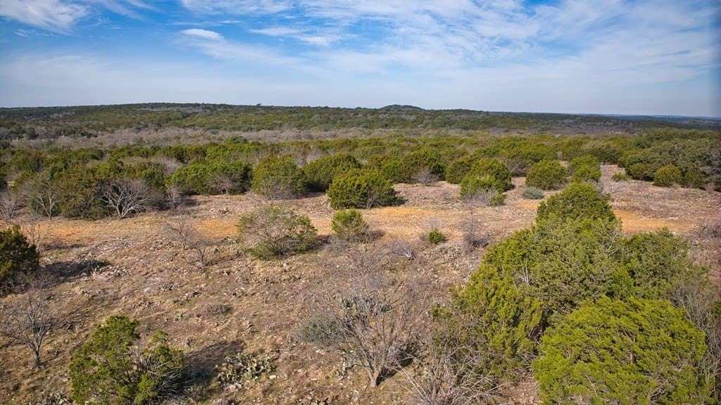 53 acres in San Saba County gallery image 3