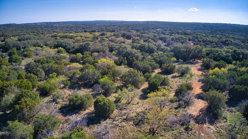 53 acres in San Saba County featured view