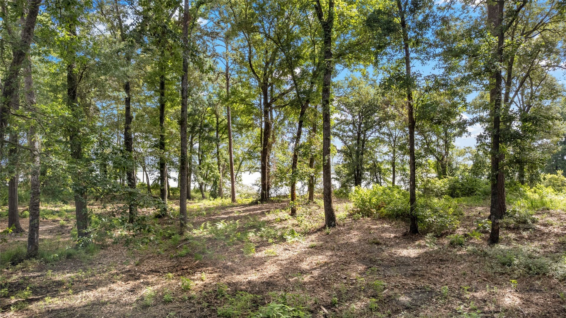 2 acres in Henderson County - photo 12