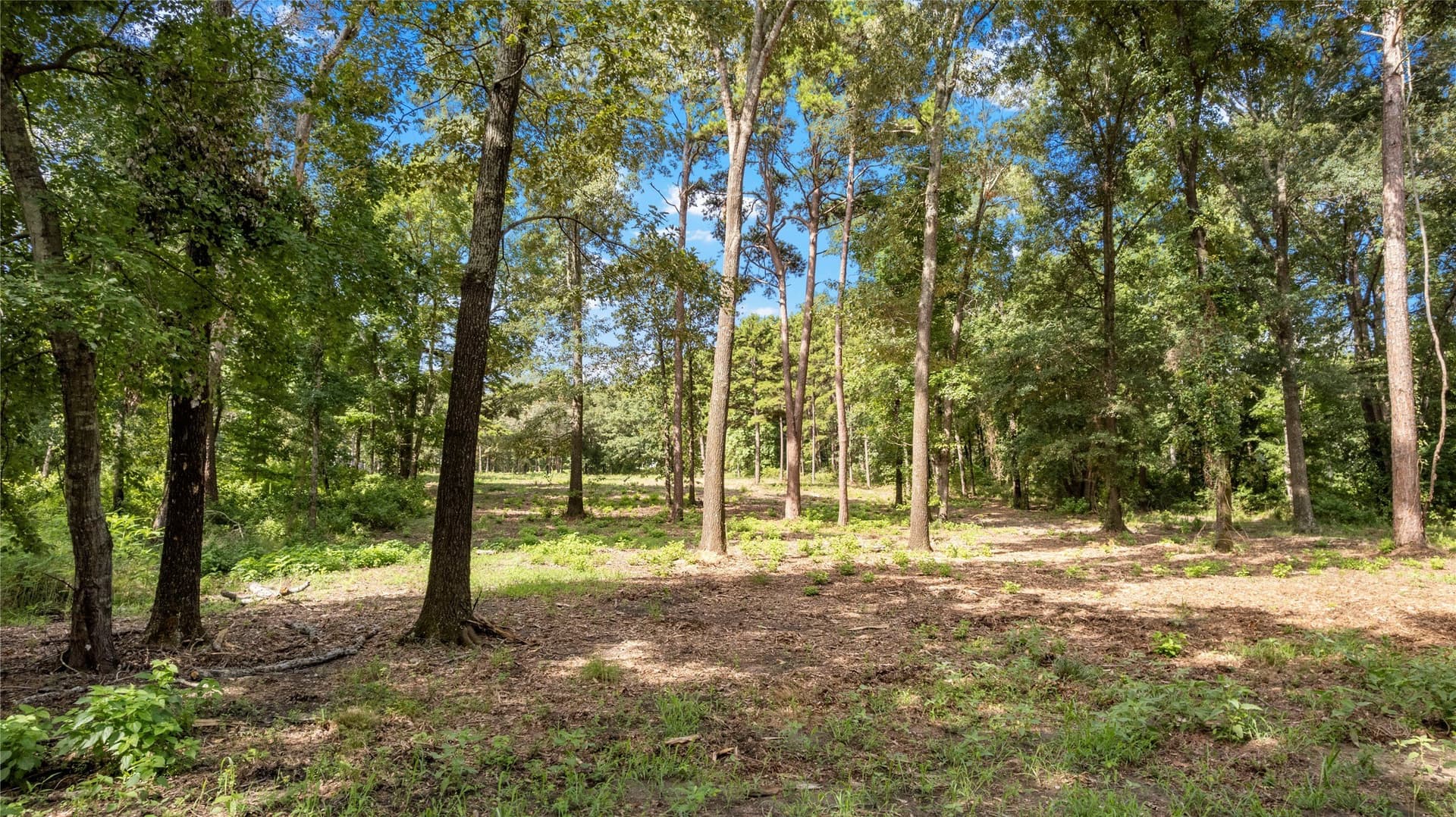 2 acres in Henderson County - photo 13