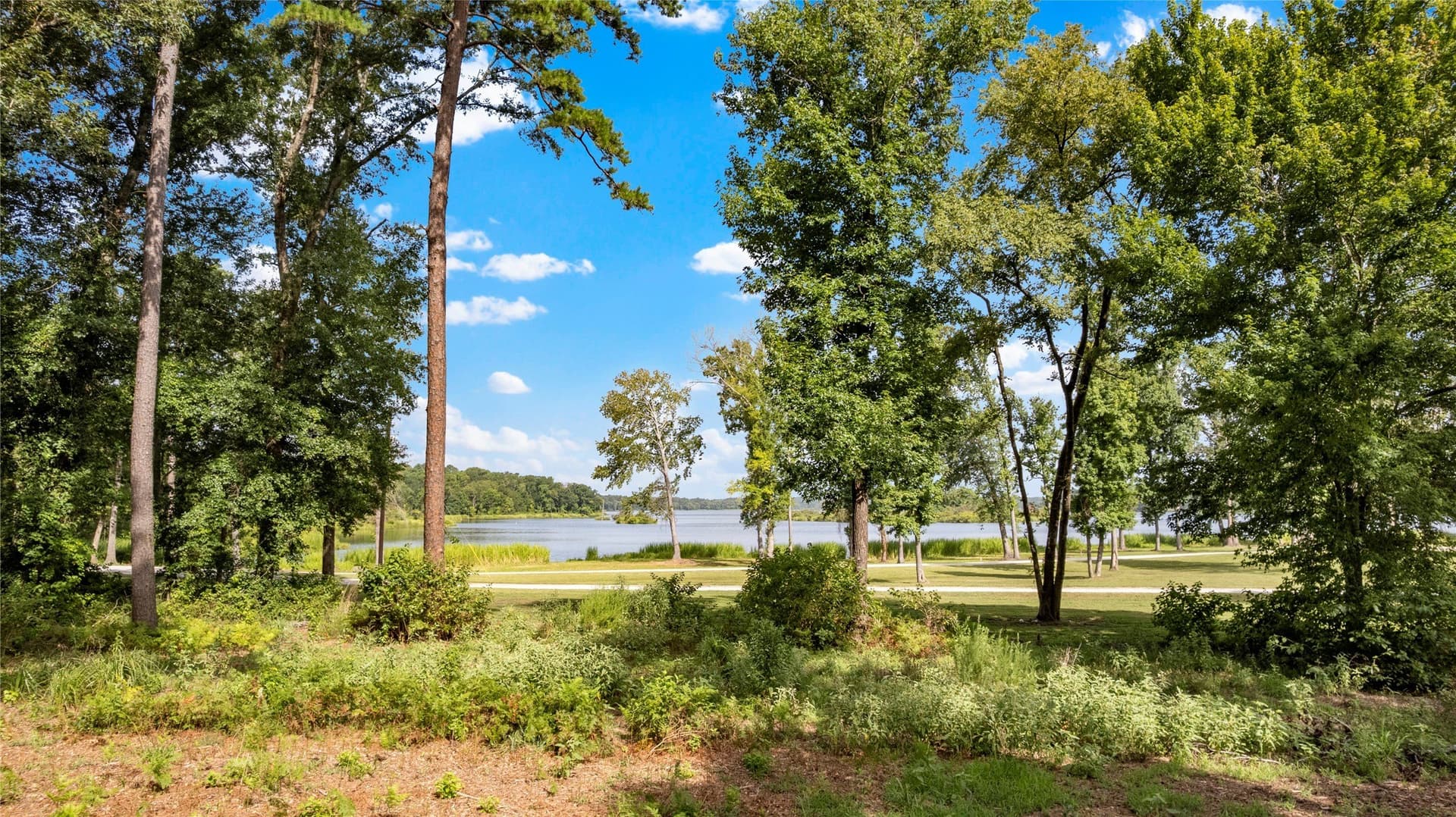 2 acres in Henderson County - photo 2