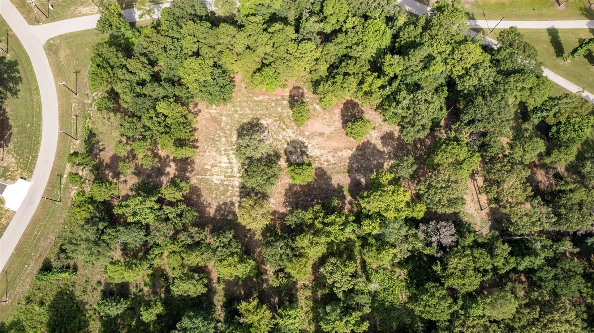 2 acres in Henderson County - photo 5