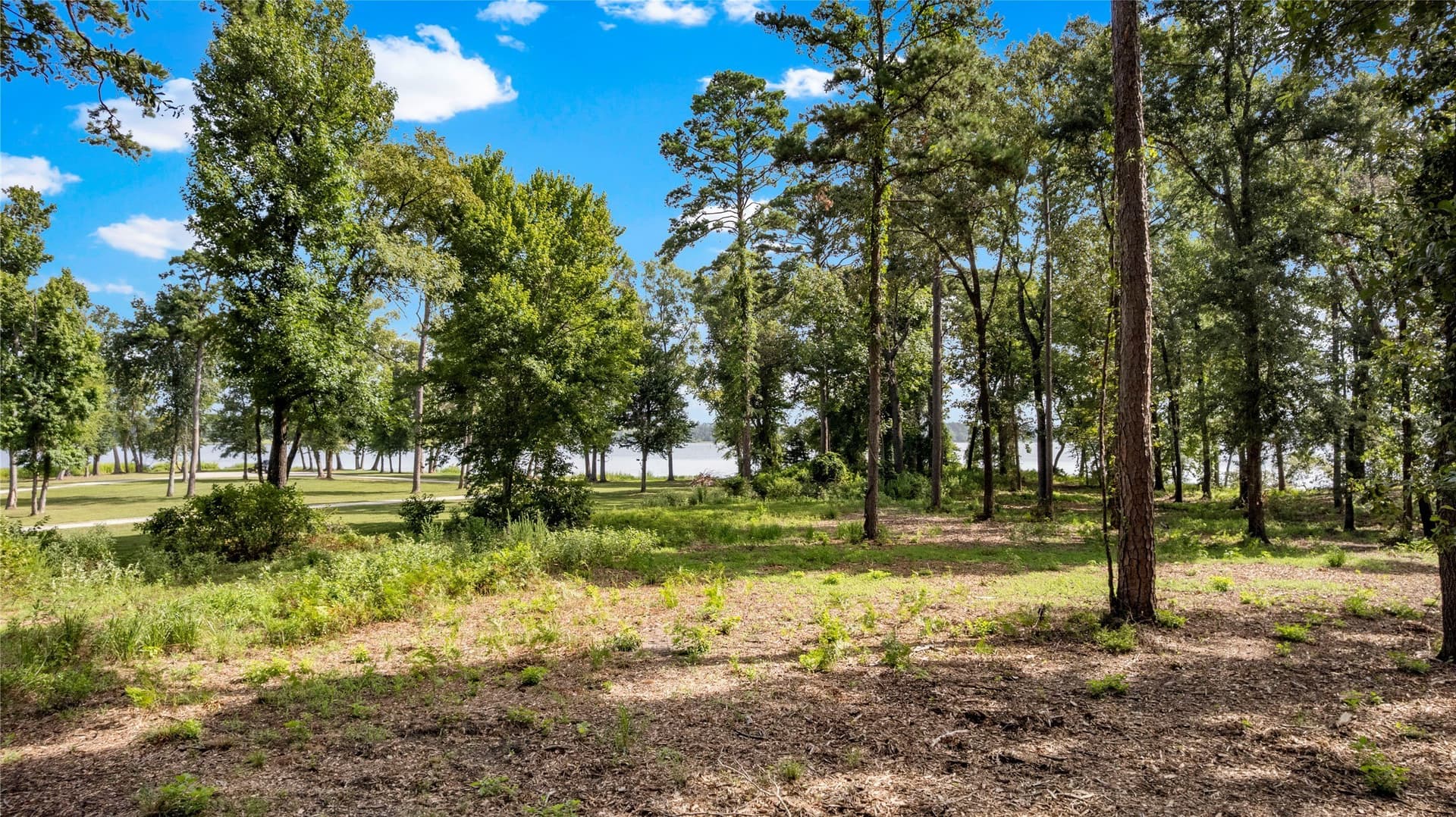 2 acres in Henderson County - photo 11