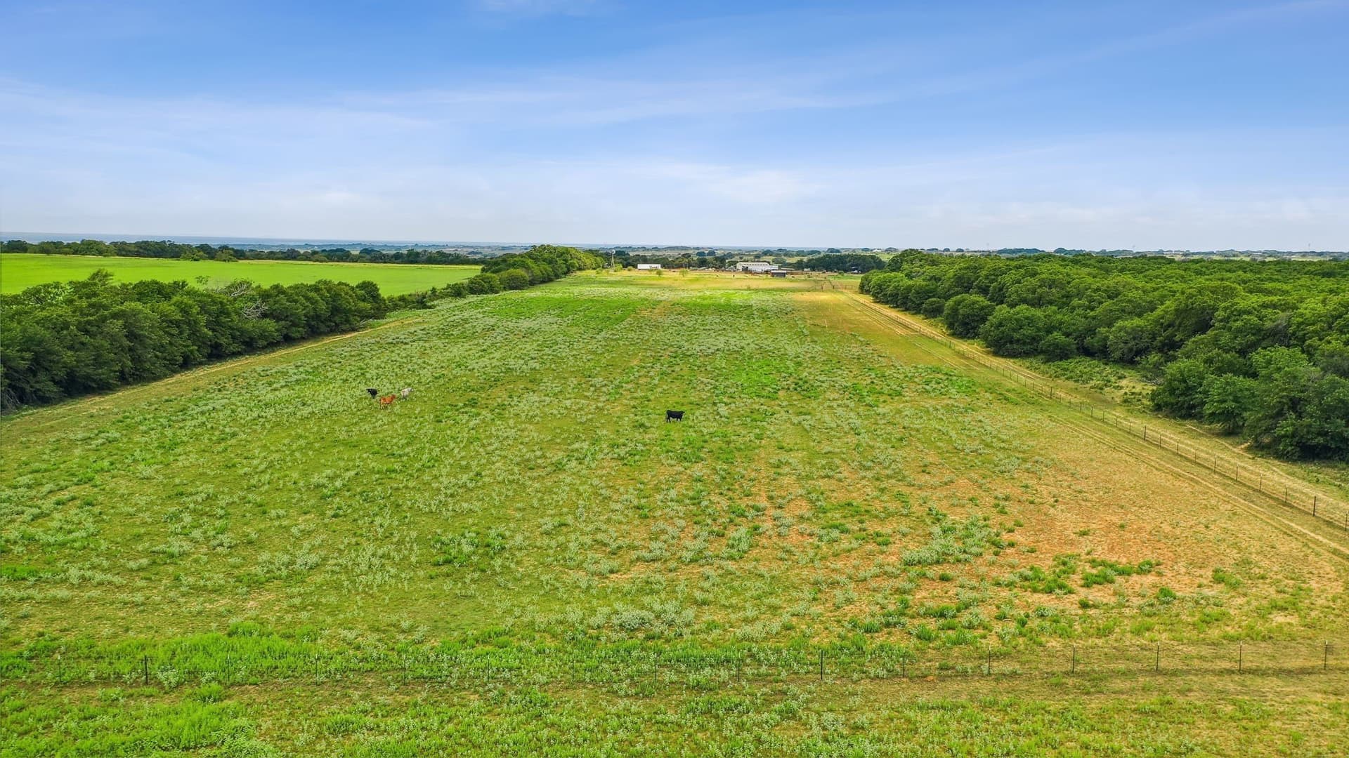 74.36 acres in Comanche County gallery image 4