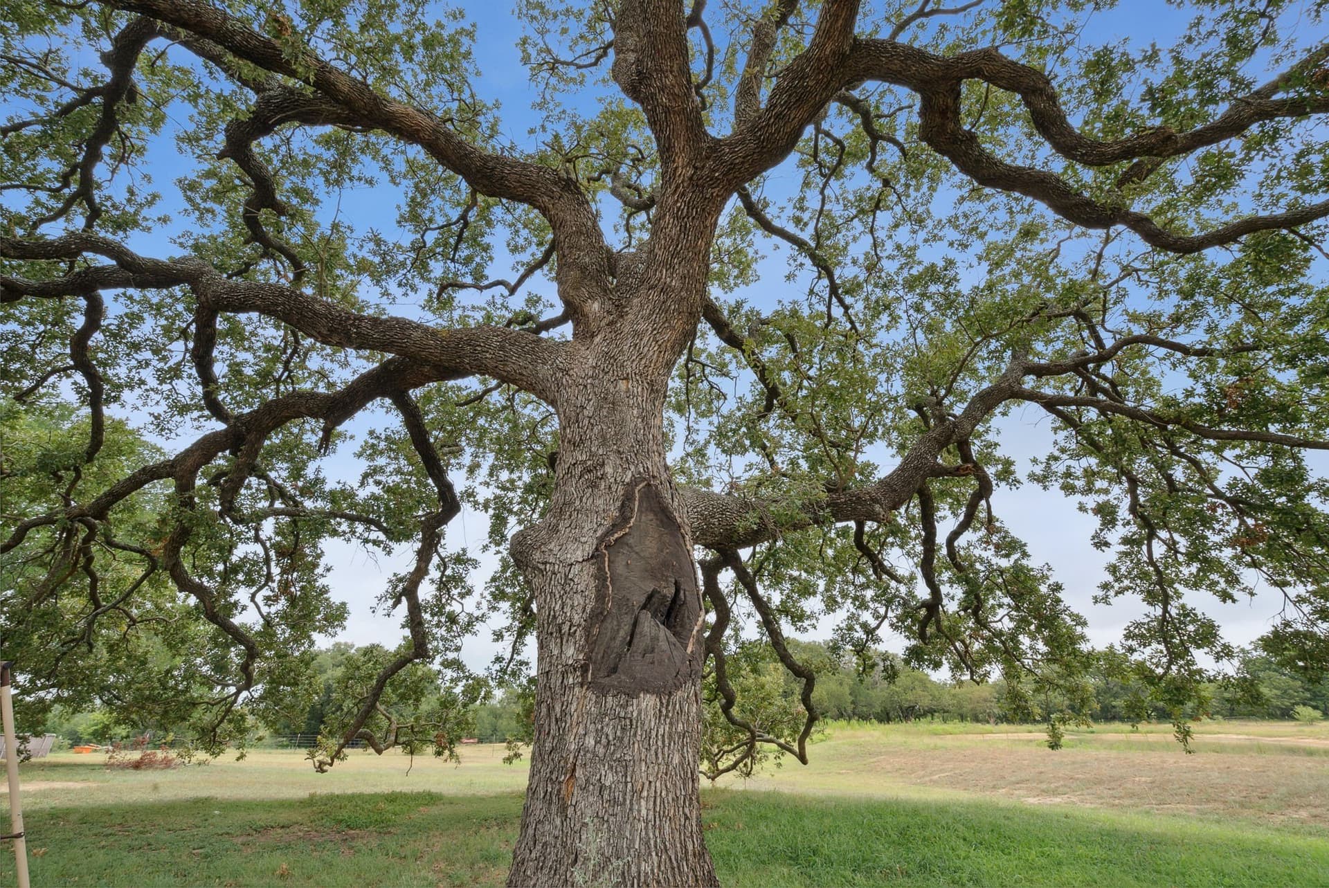 74.36 acres in Comanche County - photo 38