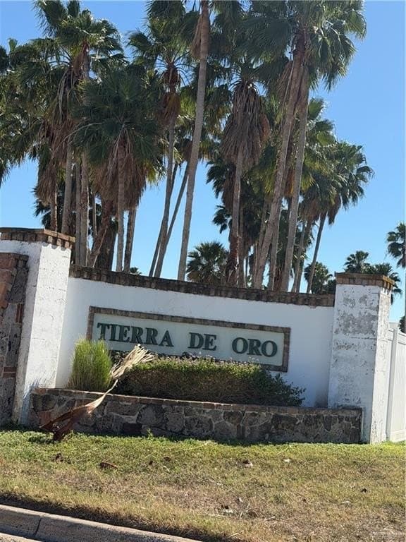 0.21 acres in Hidalgo County gallery image 4