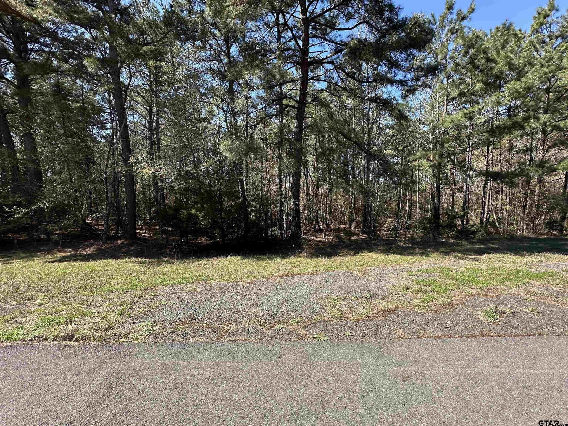 3.3 acres in Cherokee County gallery image 2