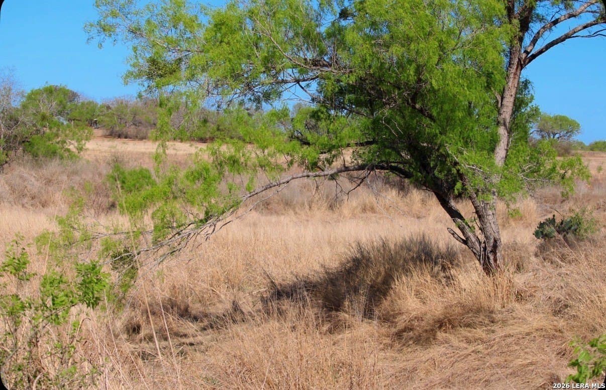 25 acres in Medina County - photo 11