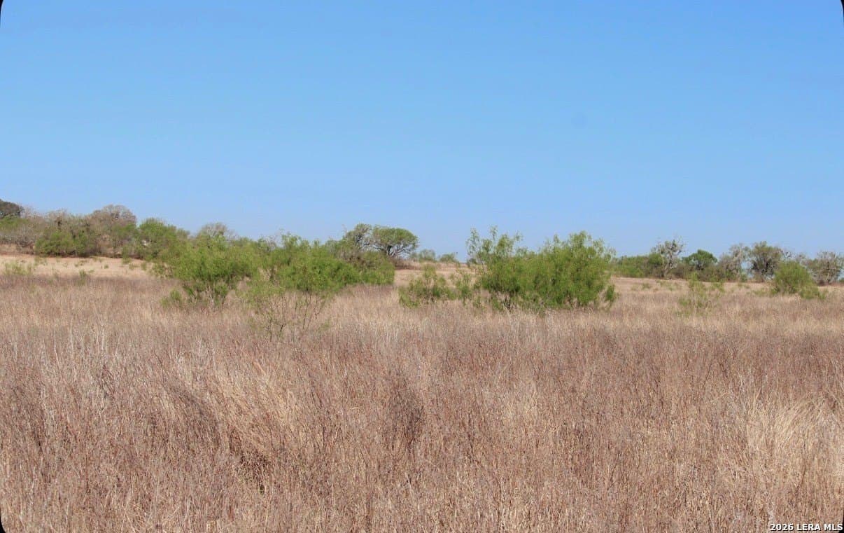 25 acres in Medina County gallery image 2
