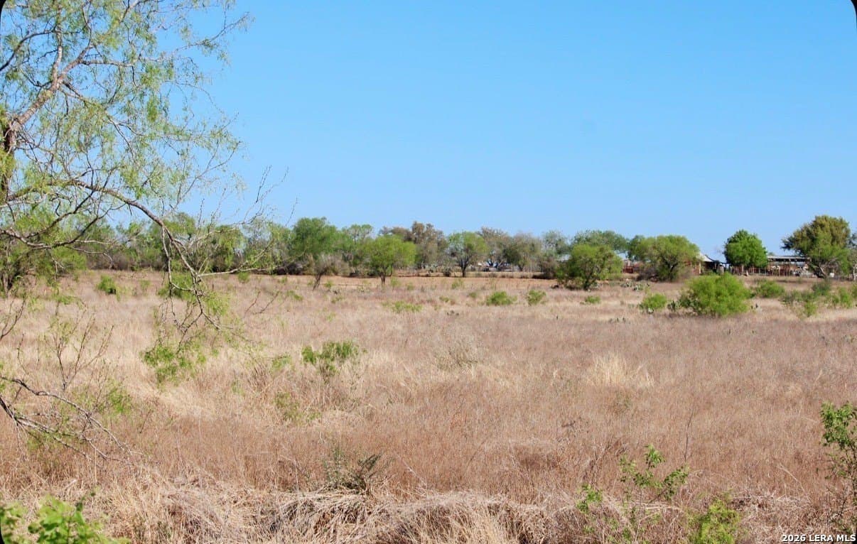 25 acres in Medina County - photo 13