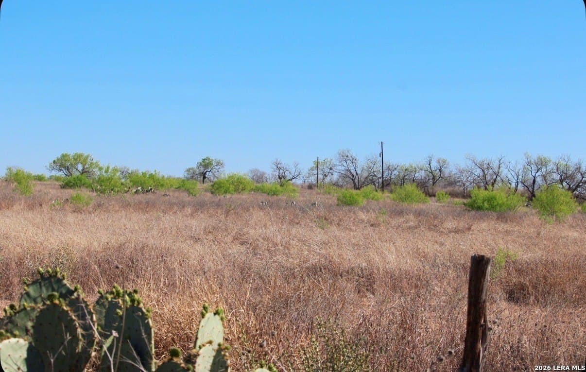 25 acres in Medina County - photo 9