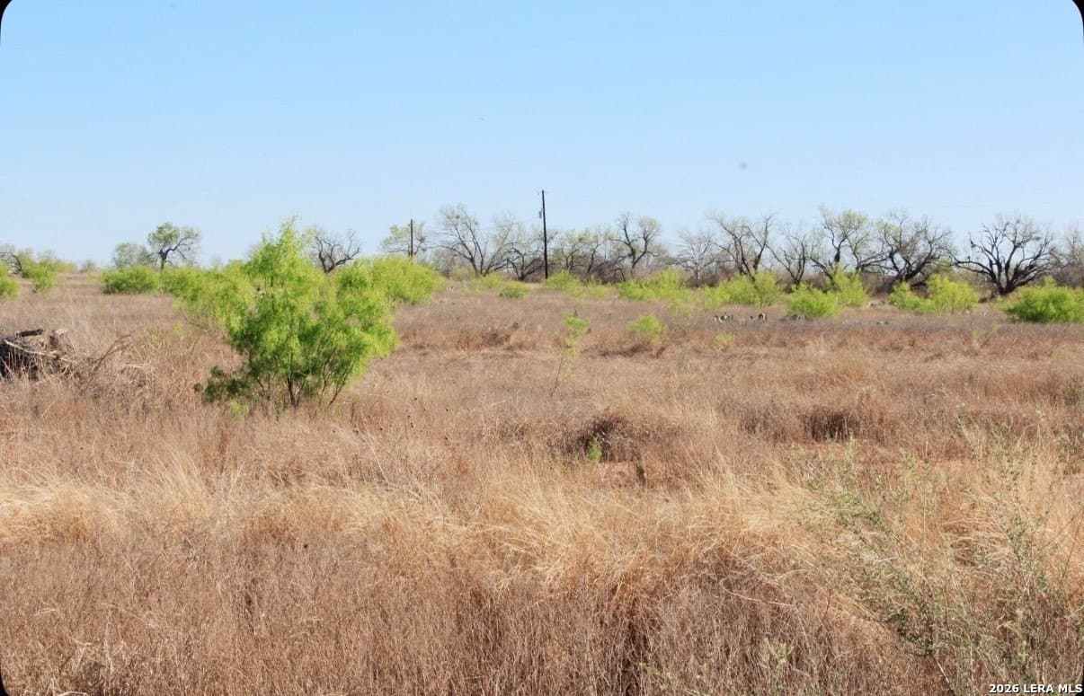 25 acres in Medina County - photo 14