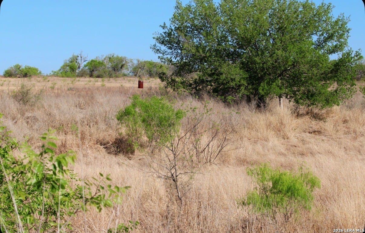 25 acres in Medina County - photo 15