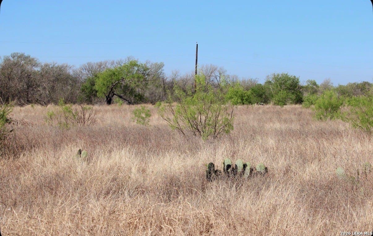 25 acres in Medina County featured view