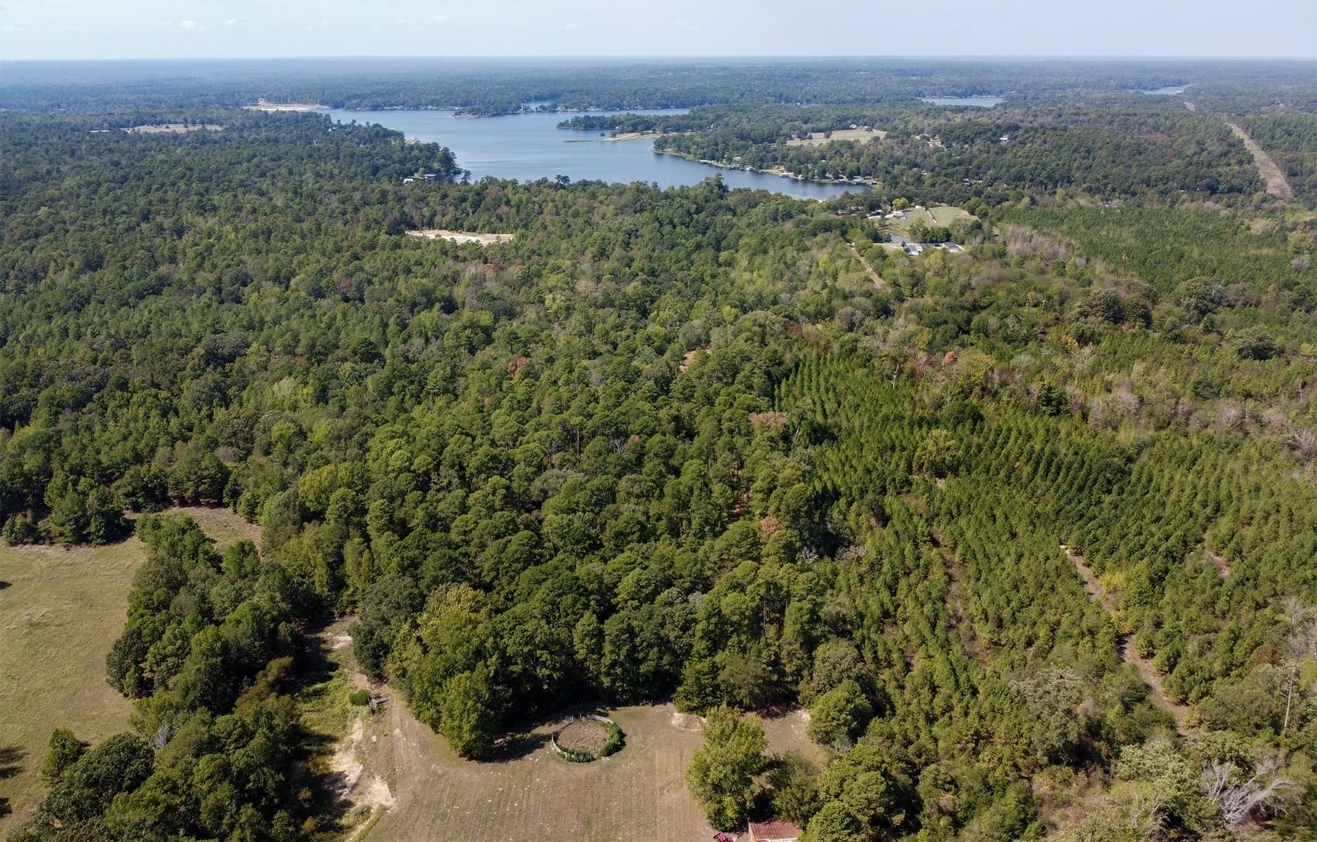 53.74 acres in Wood County - photo 9