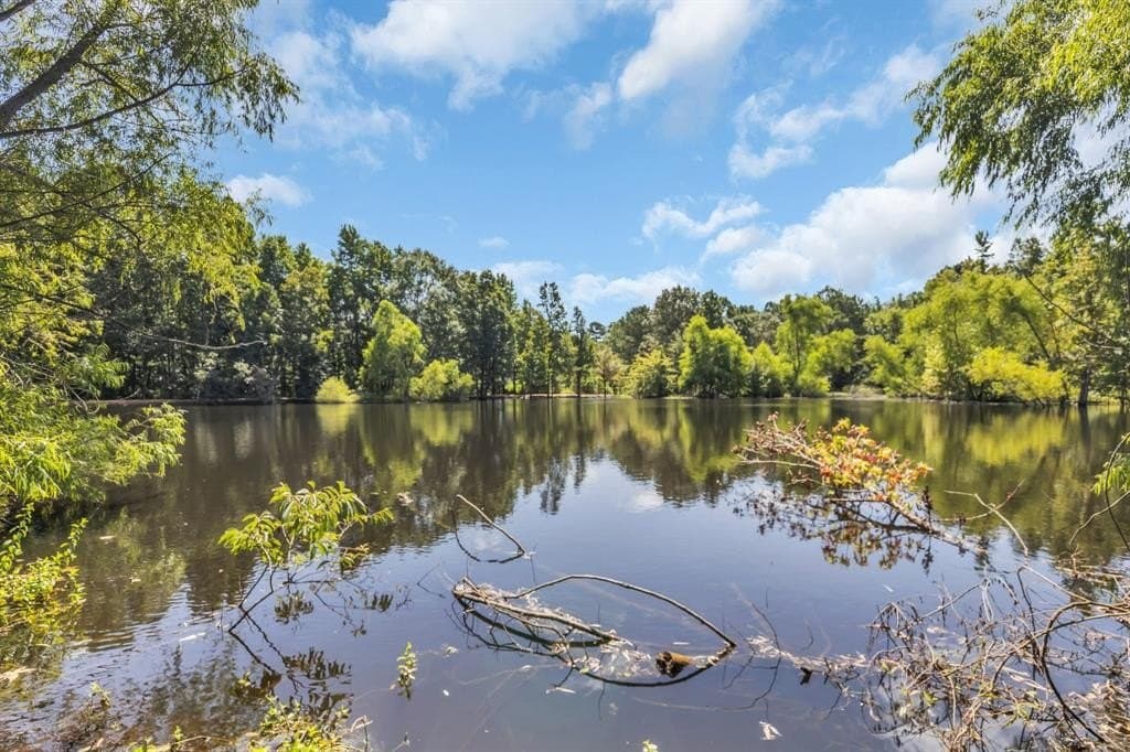20 acres in Cherokee County gallery image 3