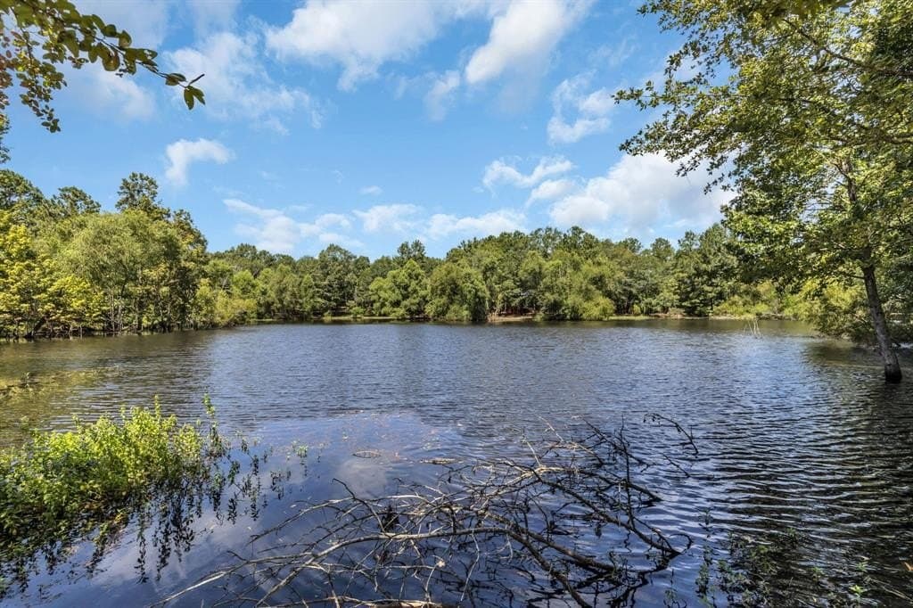 20 acres in Cherokee County gallery image 4