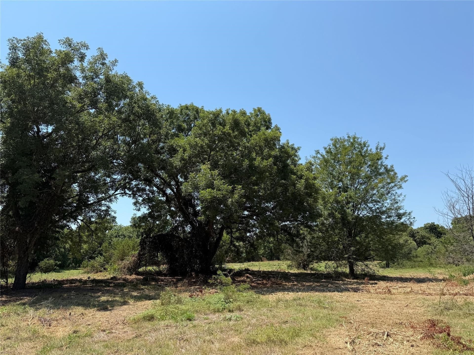 16.51 acres in Hood County featured view
