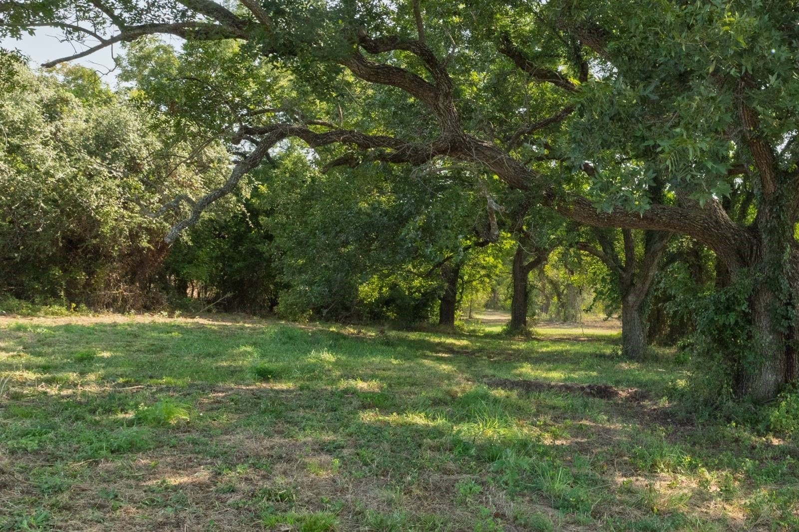 16.51 acres in Hood County - photo 15