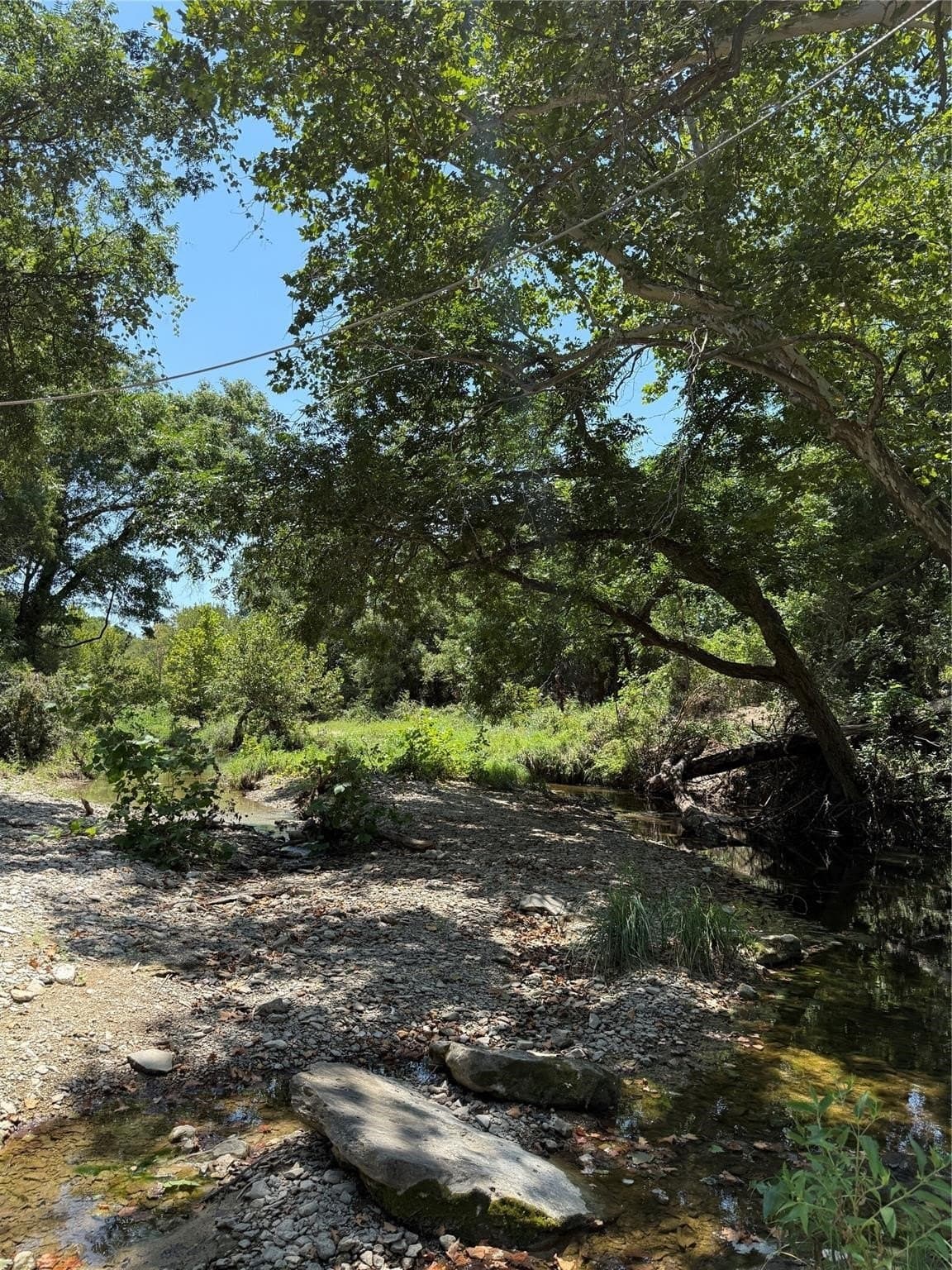 16.51 acres in Hood County gallery image 3
