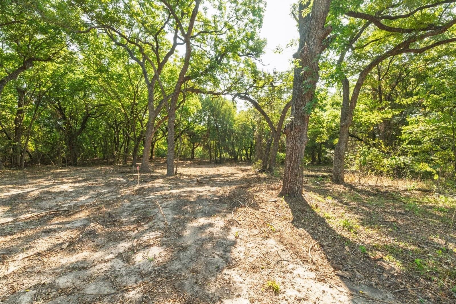 16.51 acres in Hood County - photo 11